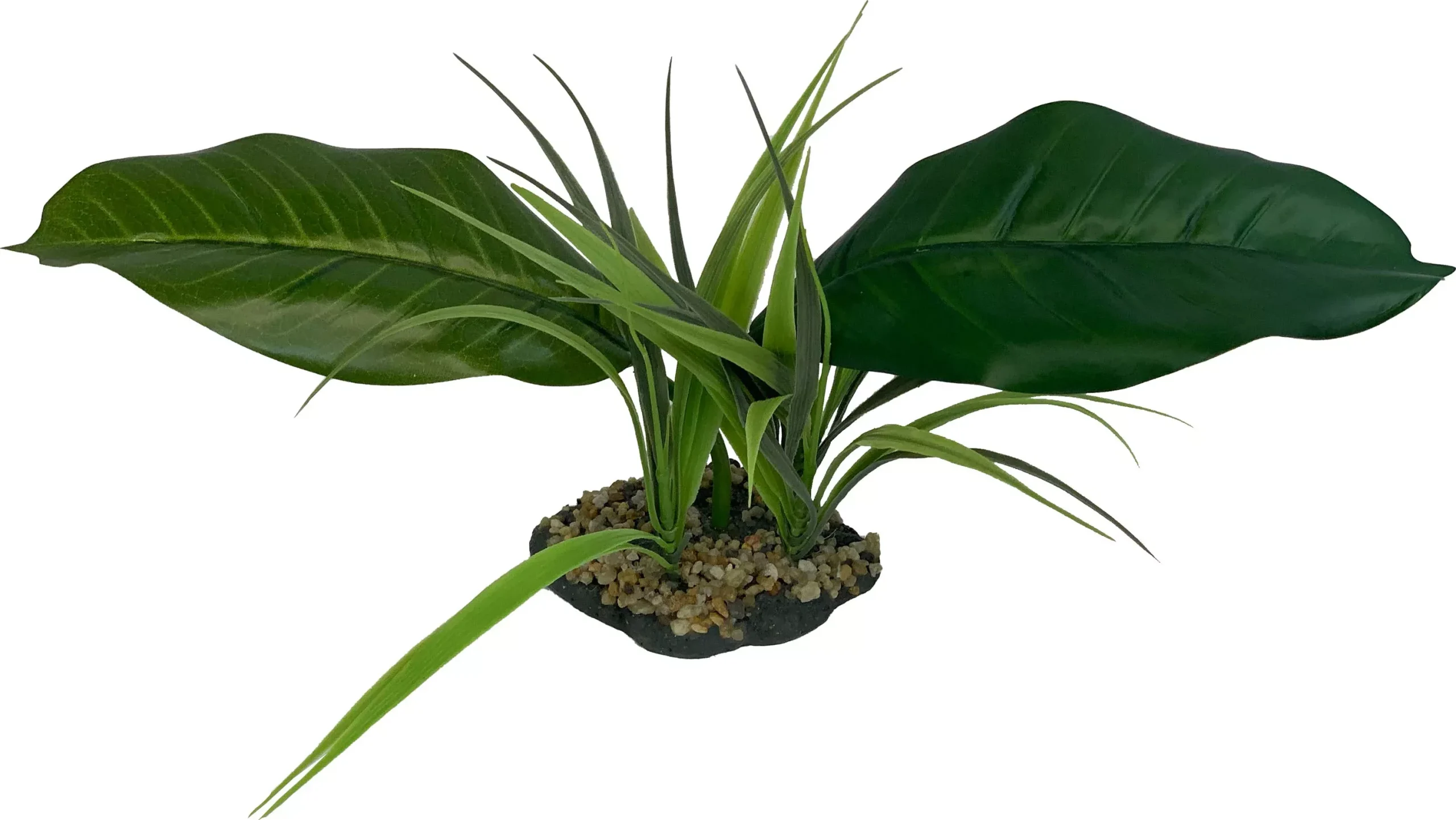 Komodo Woodland Canopy Plant, Natural, Medium