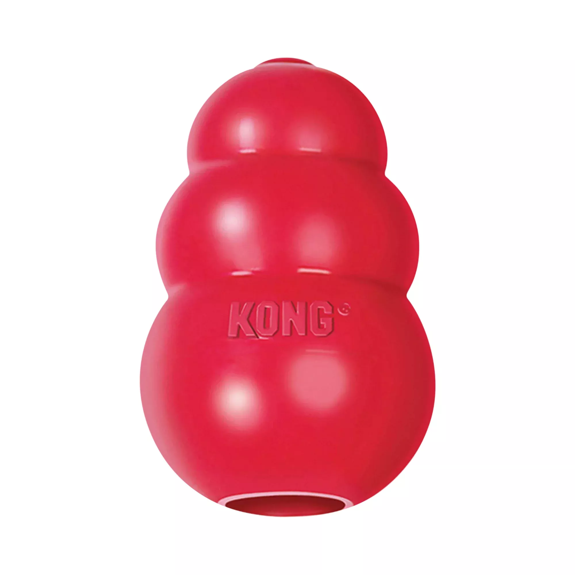 Kong Classic Dog Toy