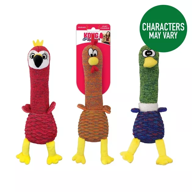 Kong Shakers Cuckoo Dog Toy