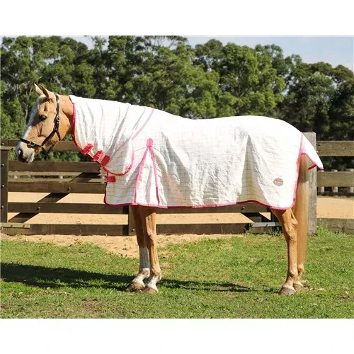 Kootenay TearStop Combo Rug