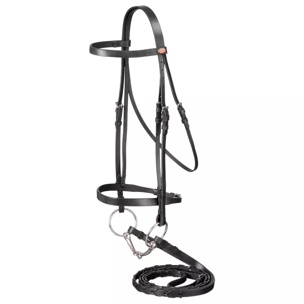 Laced Rein Snaffle Bridle – Full