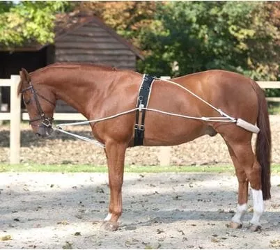 Lami-Cell Lunging System