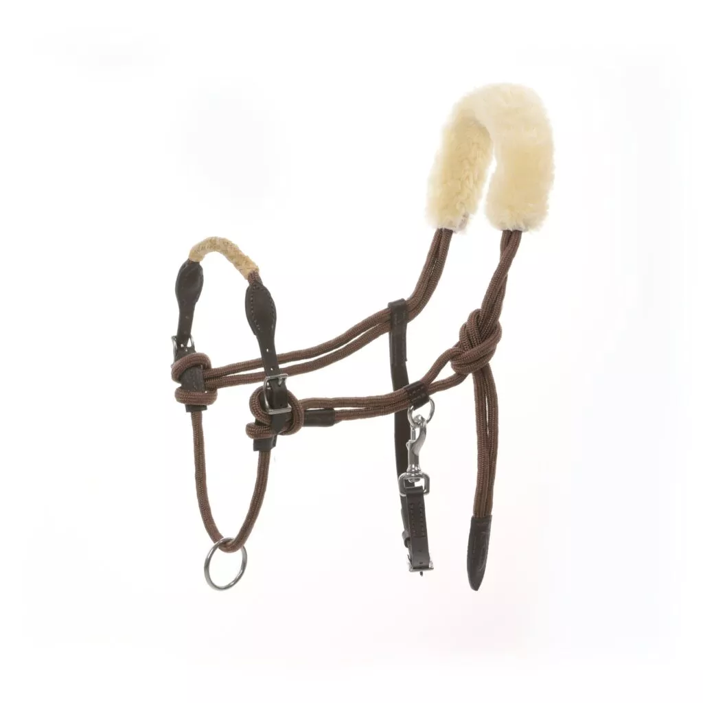 Lami-Cell Lunging & Training Halter with Wool and Rawhide