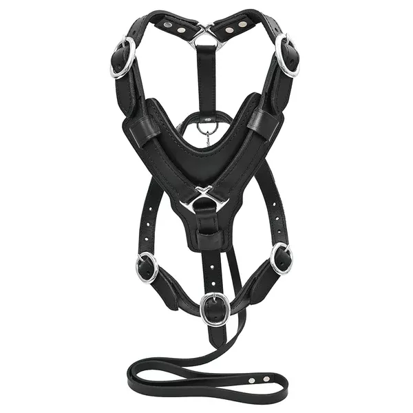 Large Leather Dog Harness Black Padded Genuine Matching Leash Hilason