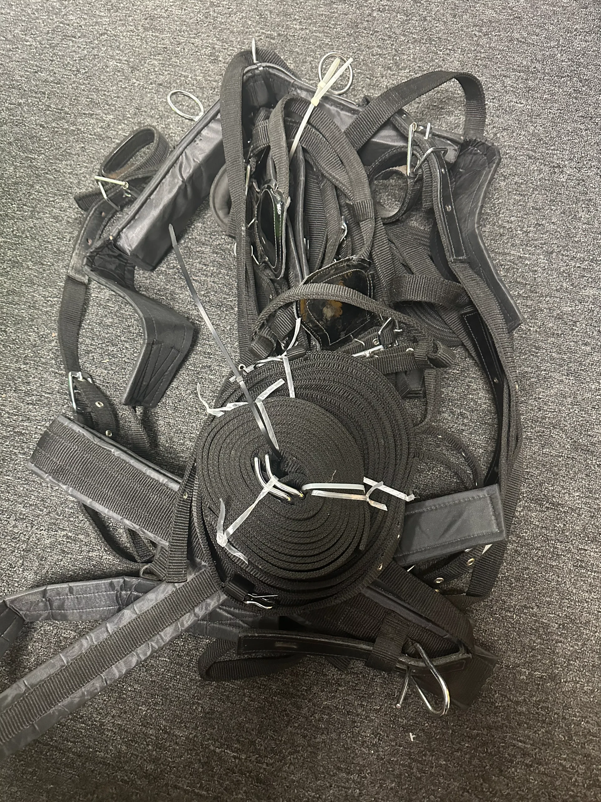 Large Pony to Cob 14 handsComplete Nylon Driving Harness