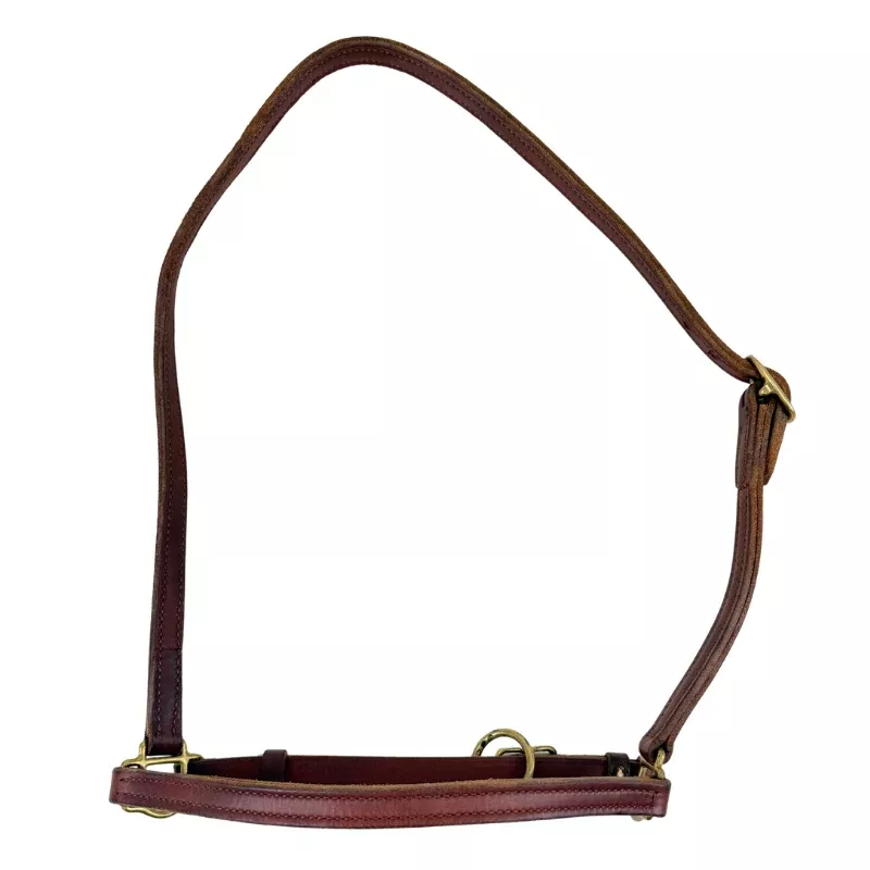 Leather Grooming Halter in Chestnut - Oversize