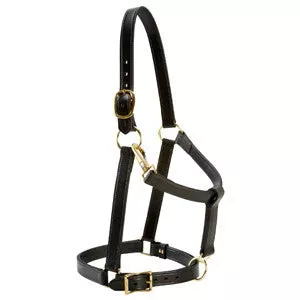 Leather Halter 1 1/4" Draft