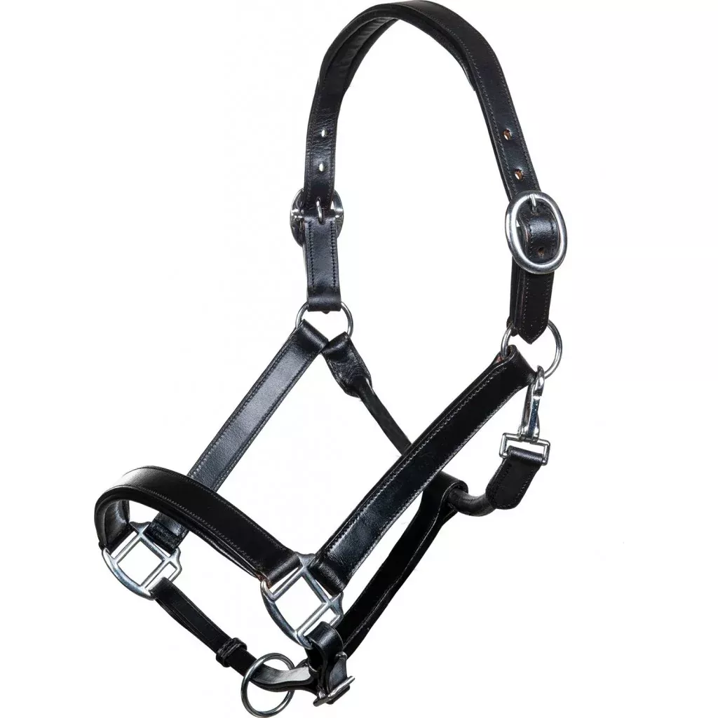 Leather Head Collar Economic