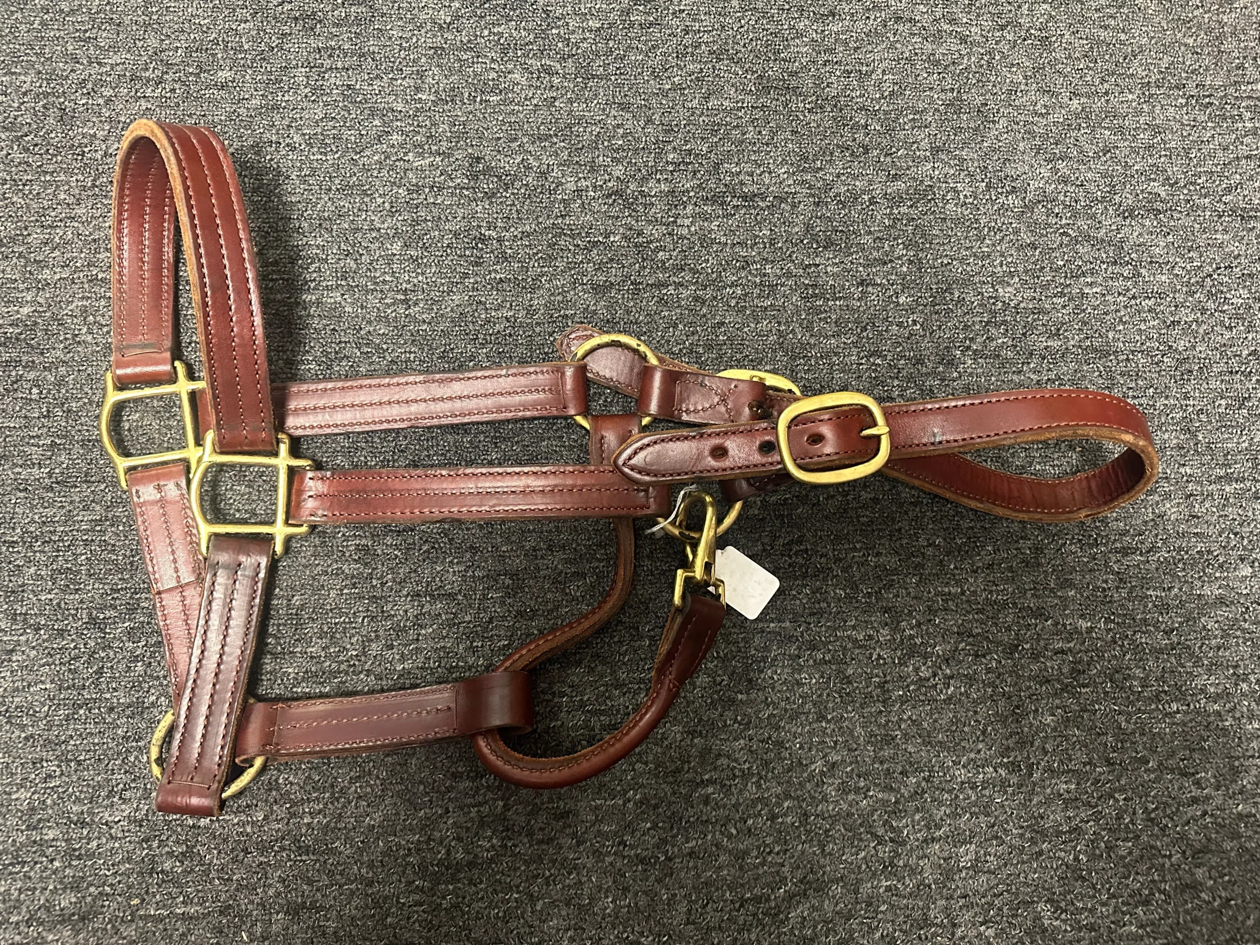 Leather Horse Halters Assorted