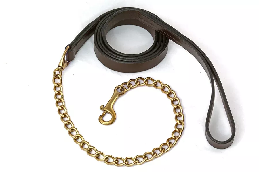 Leather Lead Shank with Brass Stud Chain