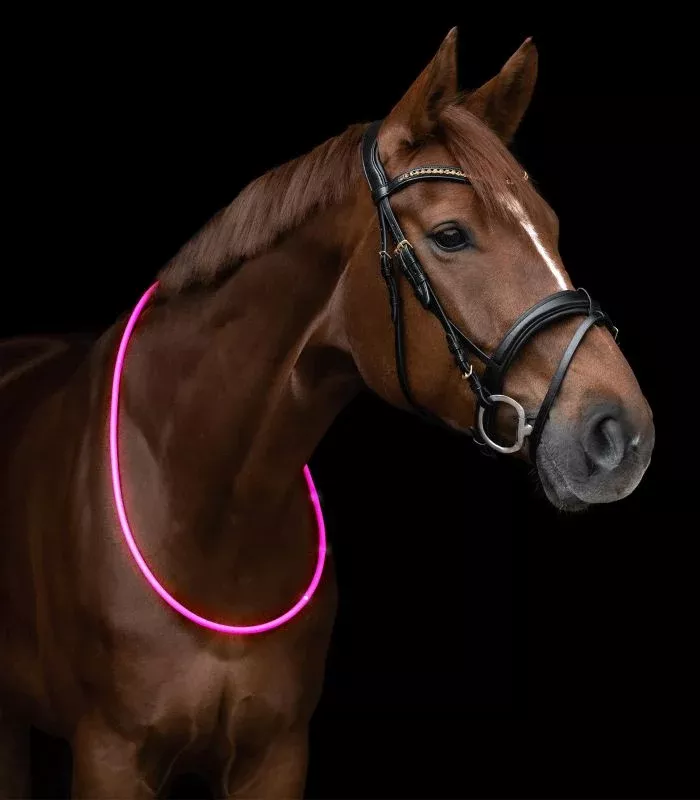 LED Neck Strap for Horses