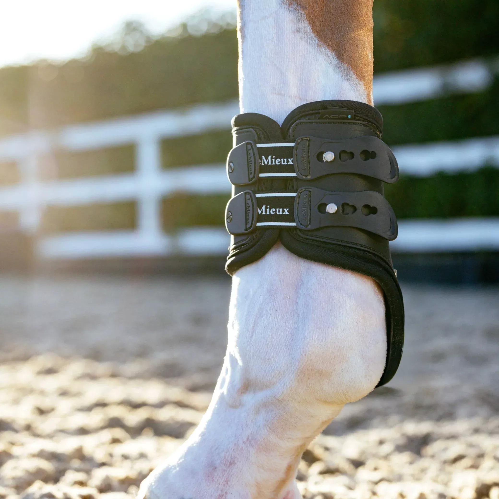 LeMieux Exo-Flex Fetlock Boots