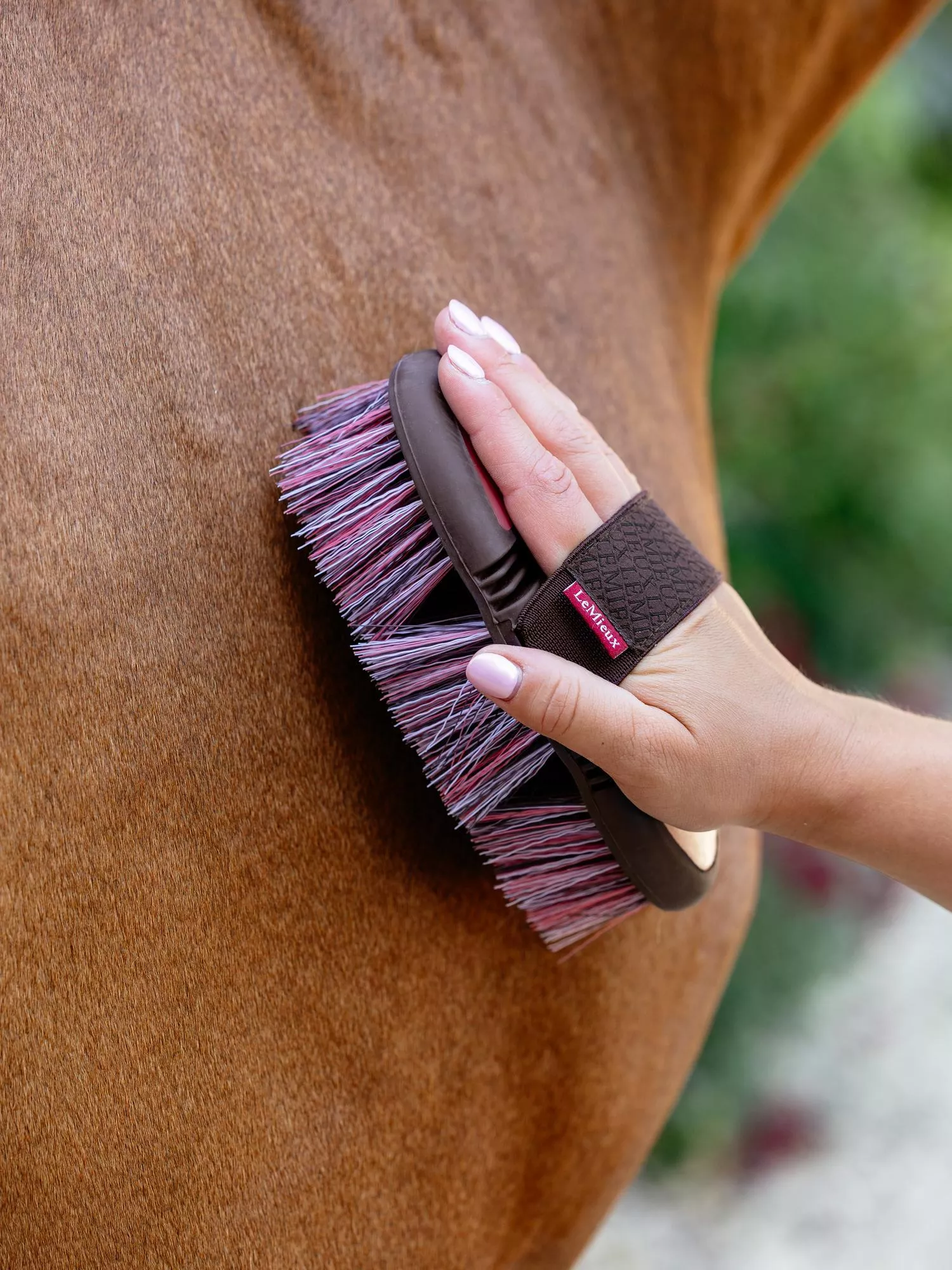 LeMieux Flexi Flicky Brush