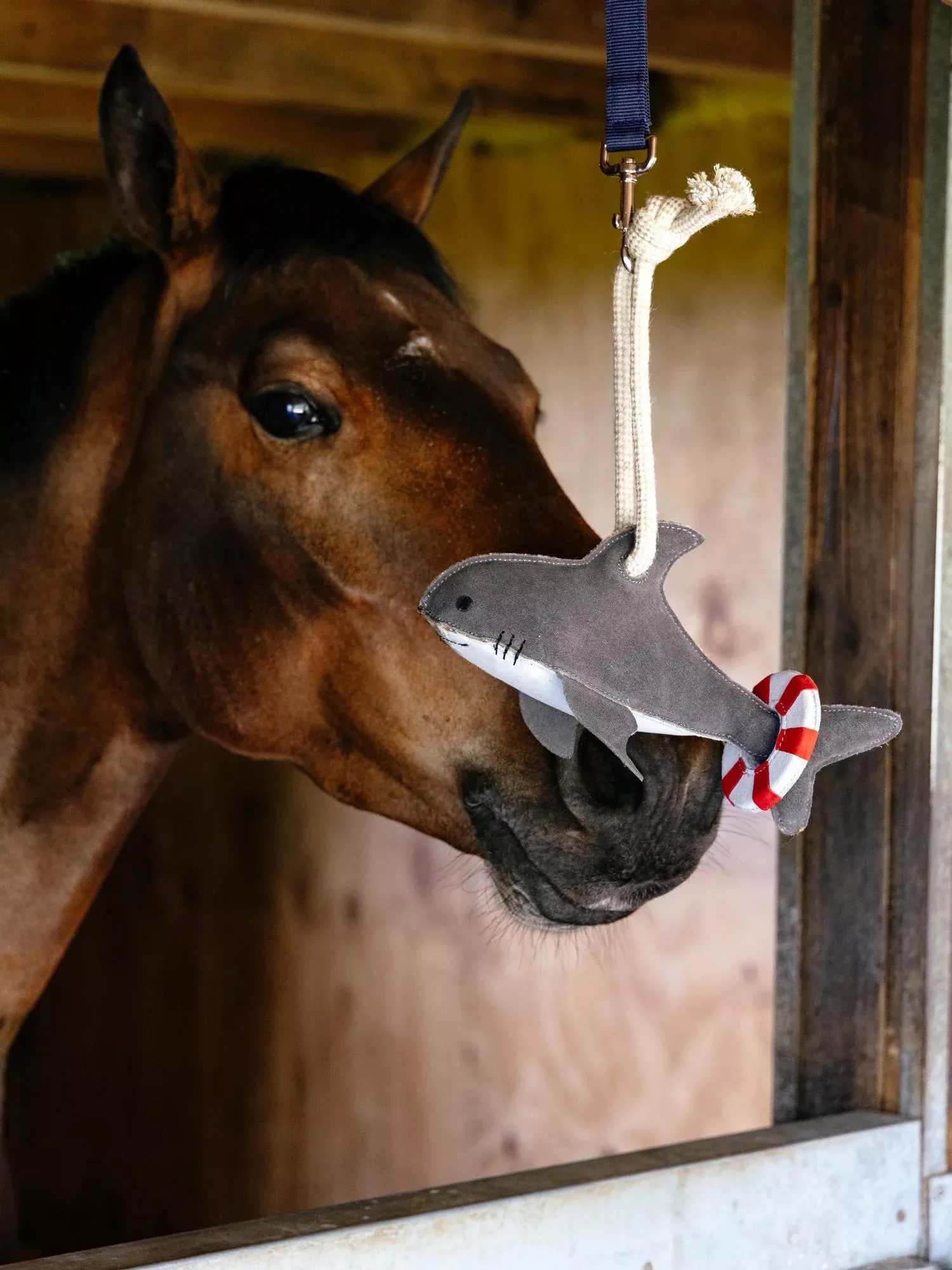 LeMieux Horse Toy - Shark