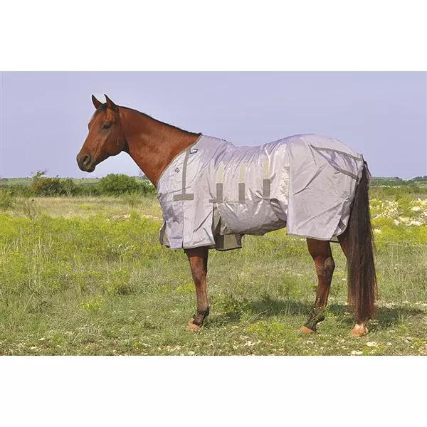 LIGHT WEIGHT FLY SHEET - CASHEL