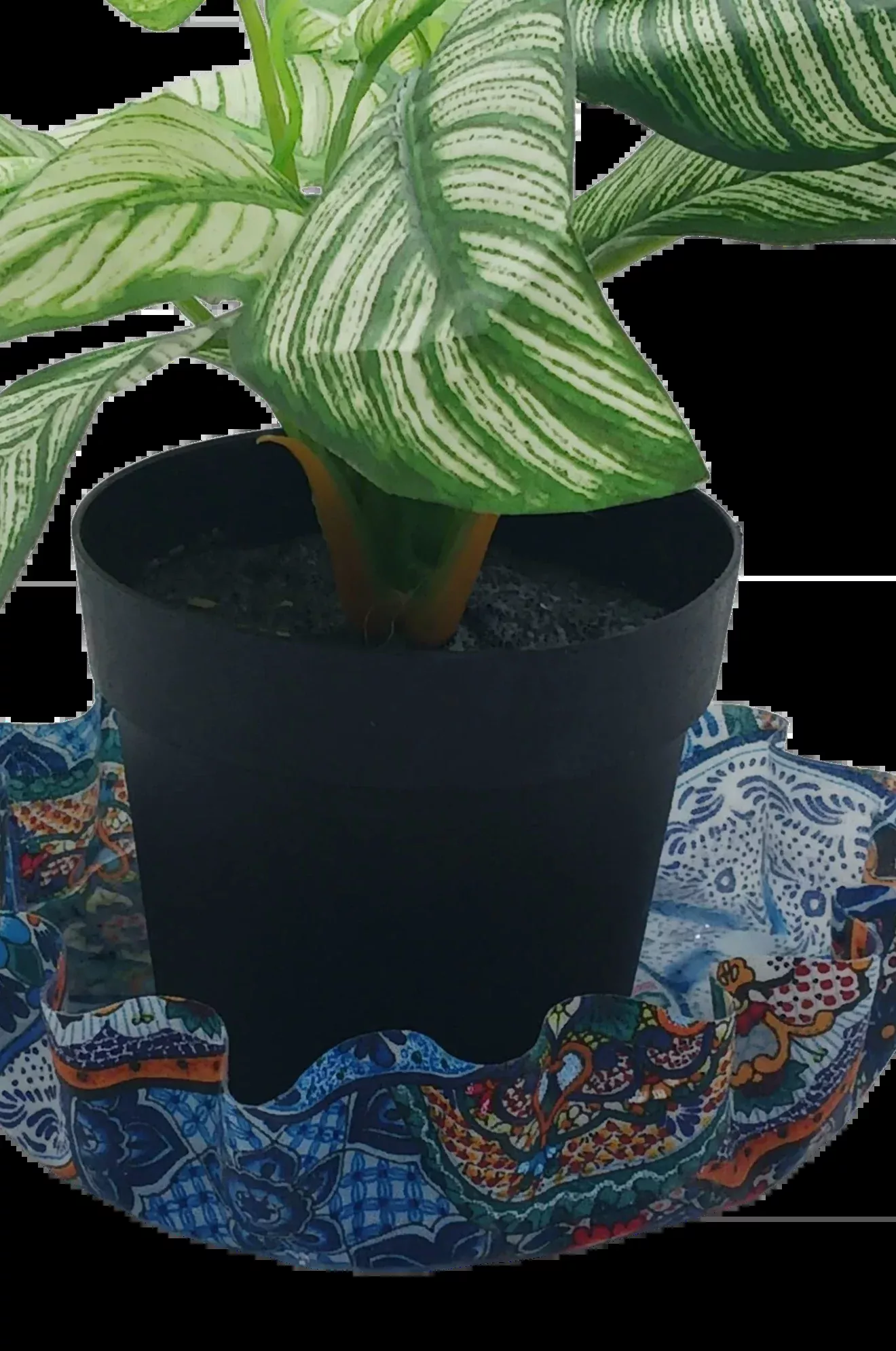 LILLIE PAD HOLDER disc
