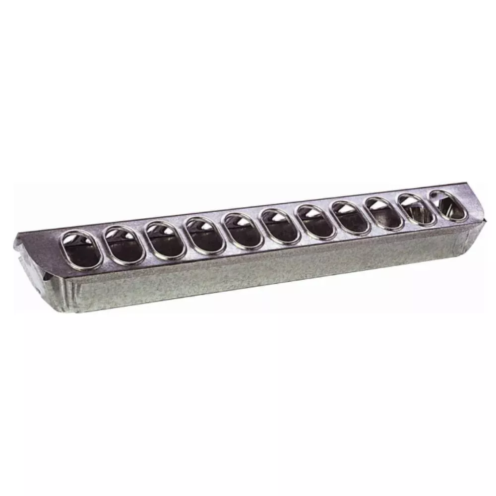 Little Giant Galvanized Top Poultry Feeder