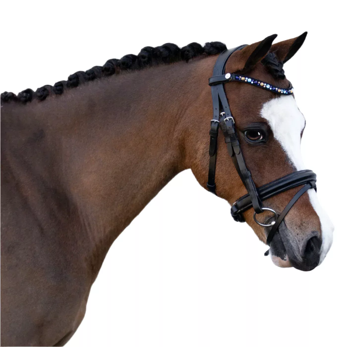 Lumi Pony Demi Hanoverian Bridle