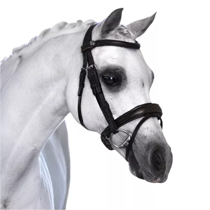Lumi Pony Mikayla Convertible Bridle