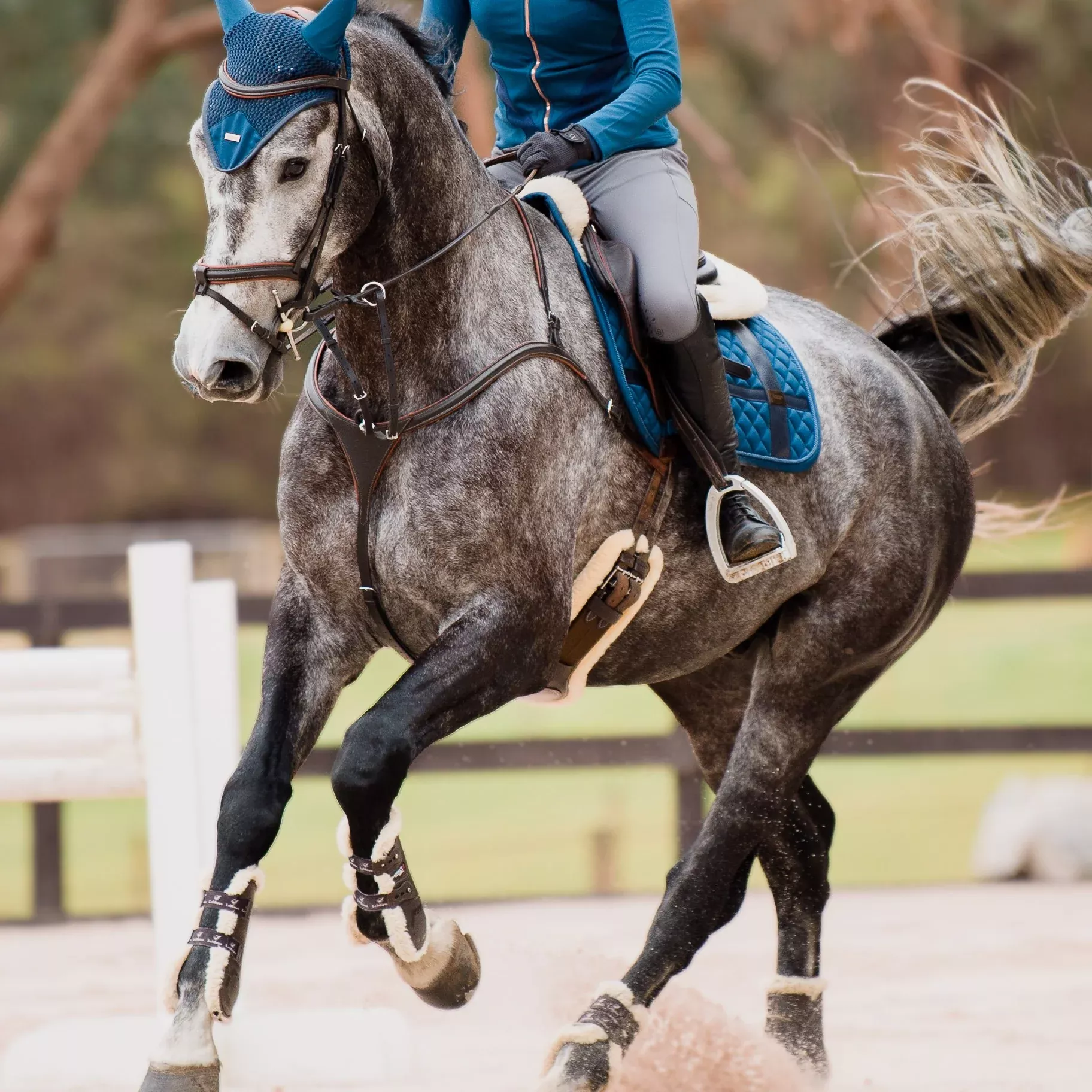 Lumiere Anka Breastplate