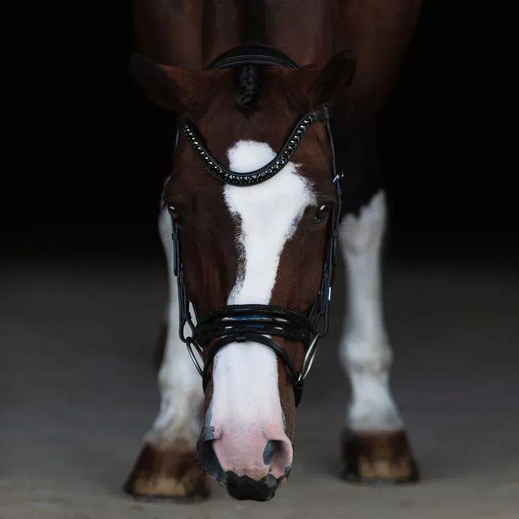 Lumiere Arcadia Hanovarian Leather Bridle