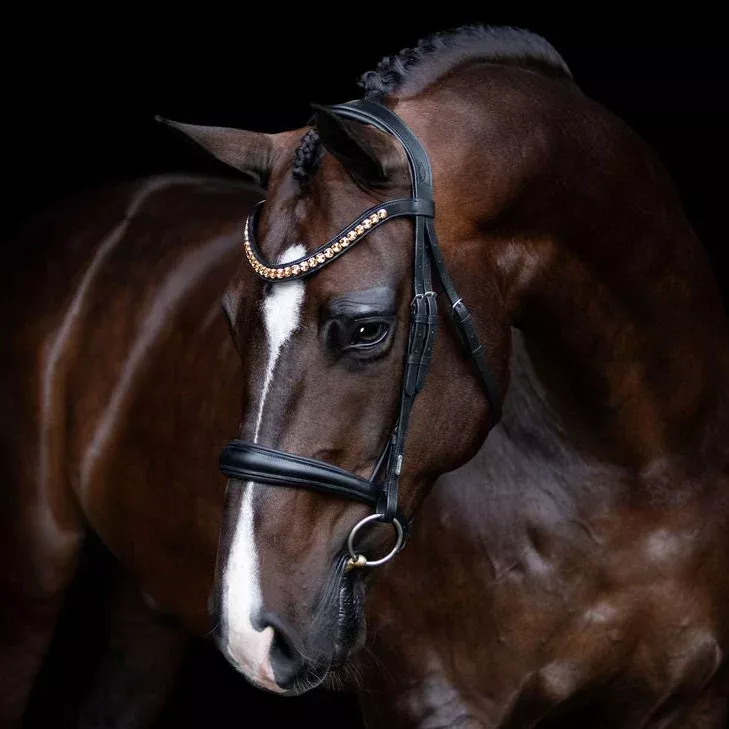 Lumiere Athens Cavesson Leather Bridle