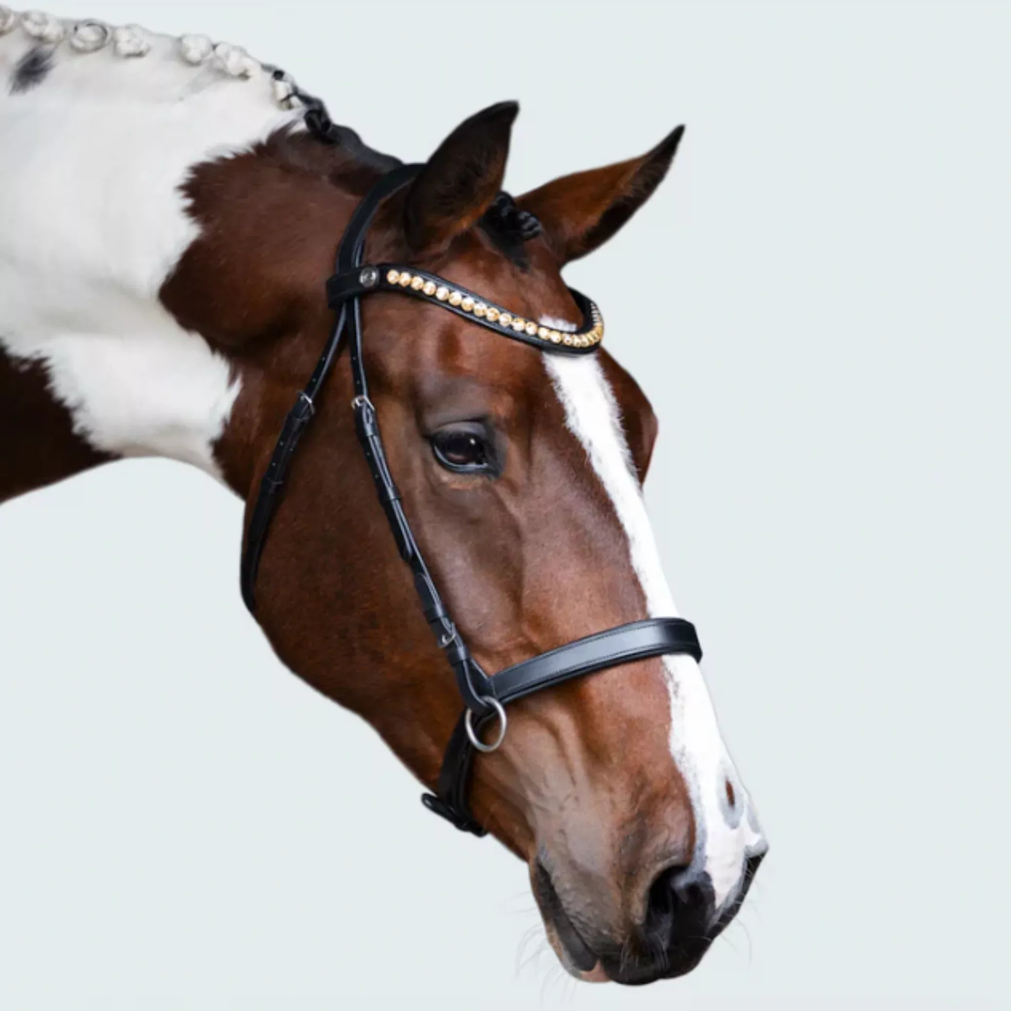 Lumiere Seline Bitless Bridle