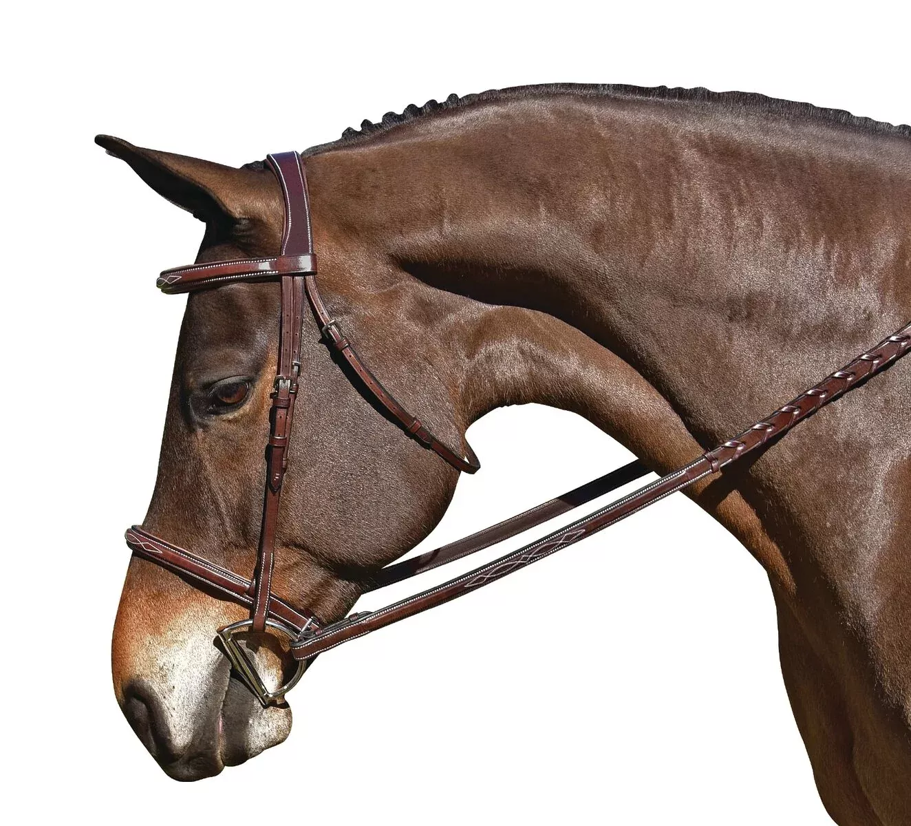 M. Toulouse Platinum Liza Snaffle Hunter Bridle