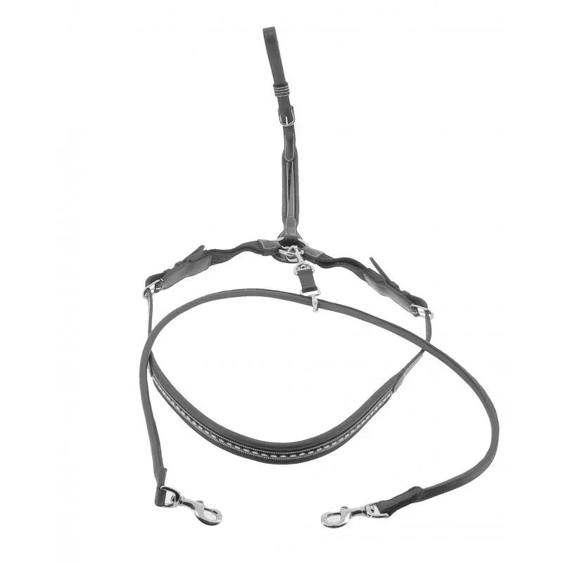 Martin Collar