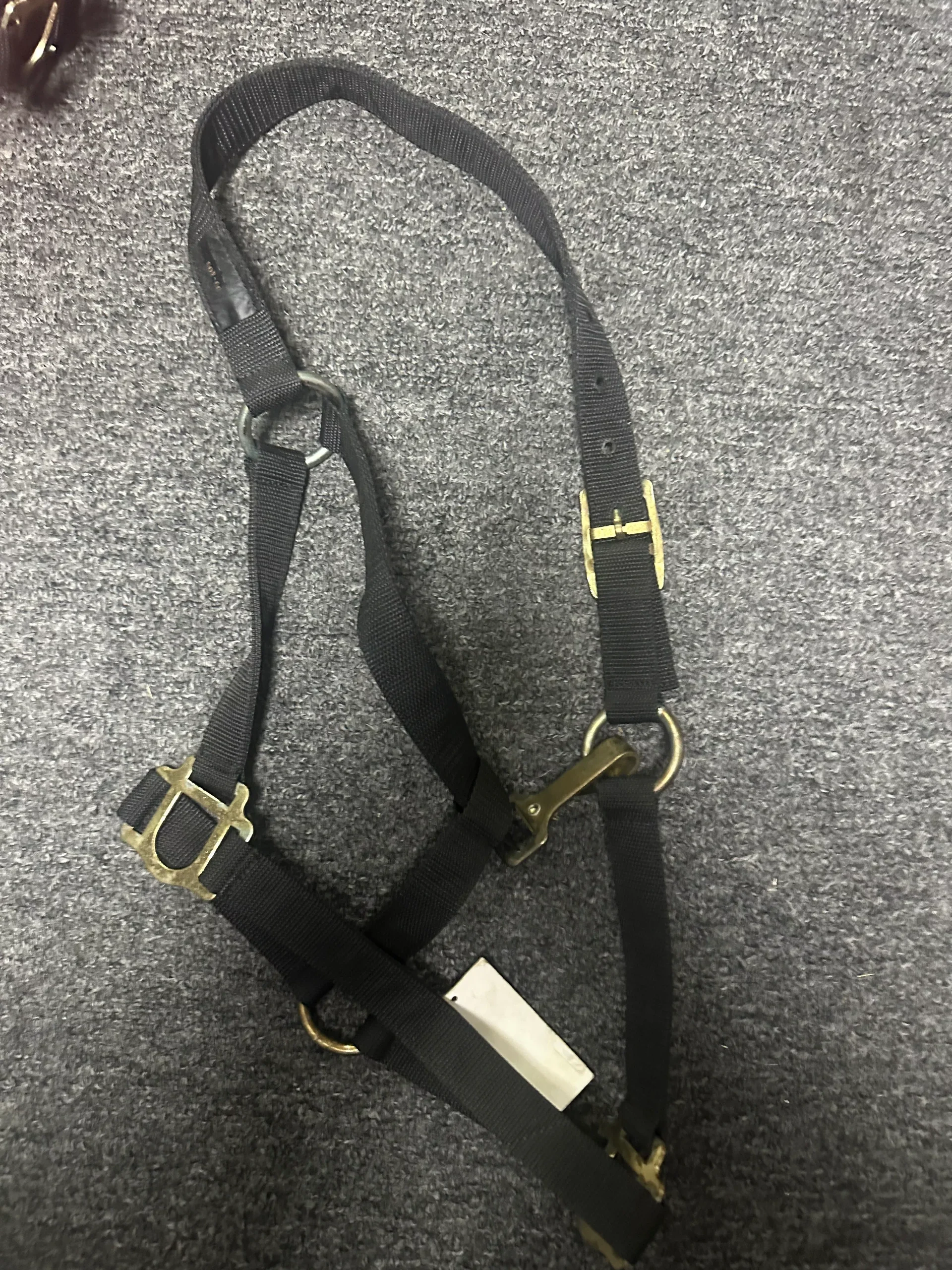 Medium Horse Halters assorted
