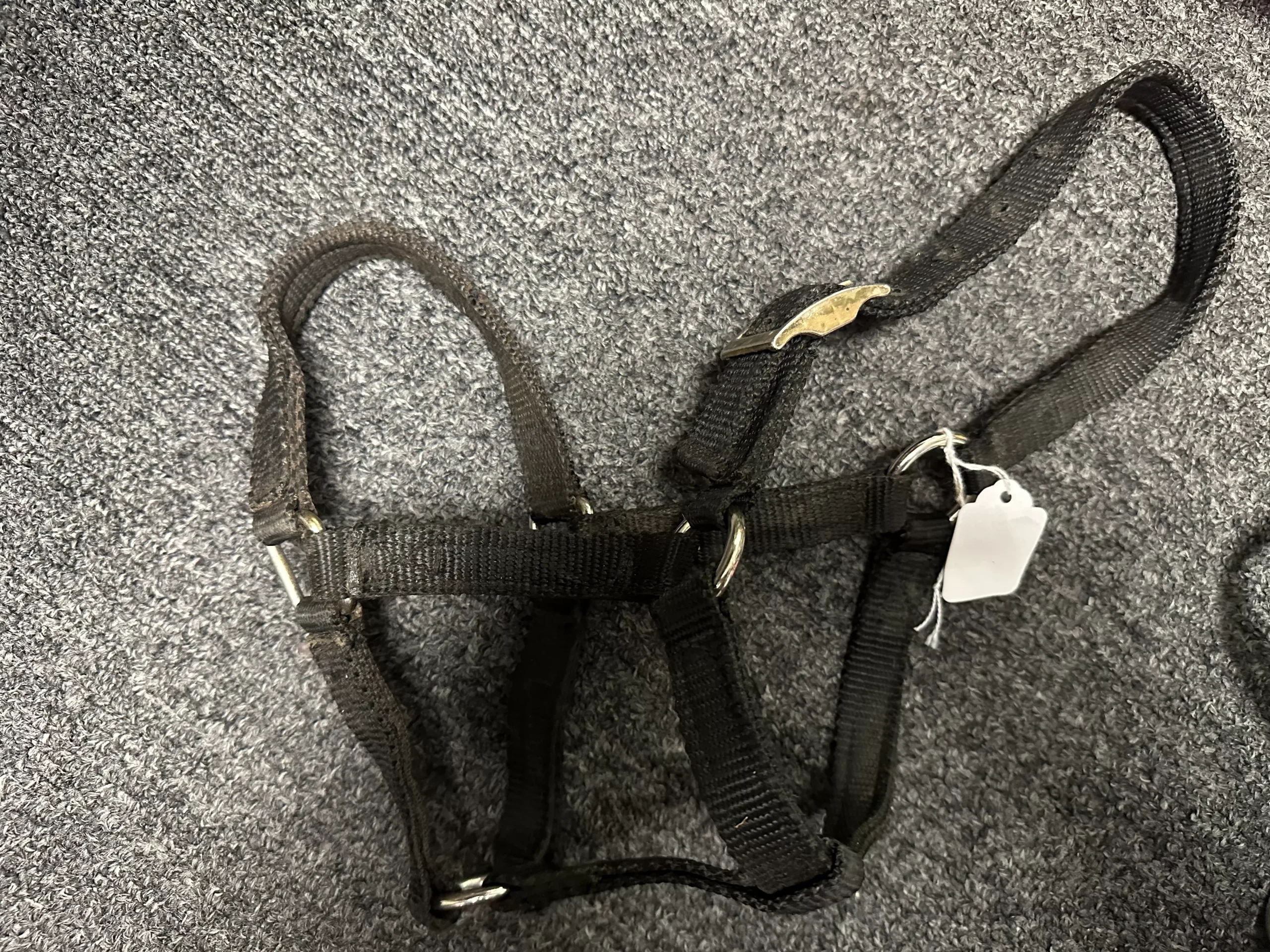 Mini horse or Foal Nylon Halters assorted