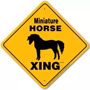 Mini Horse X-ing Sign