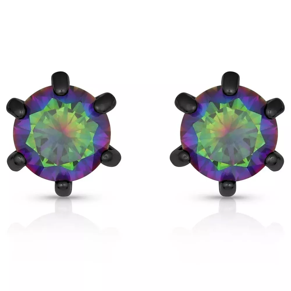 Montana Silversmiths Northern Lights Stud Earrings