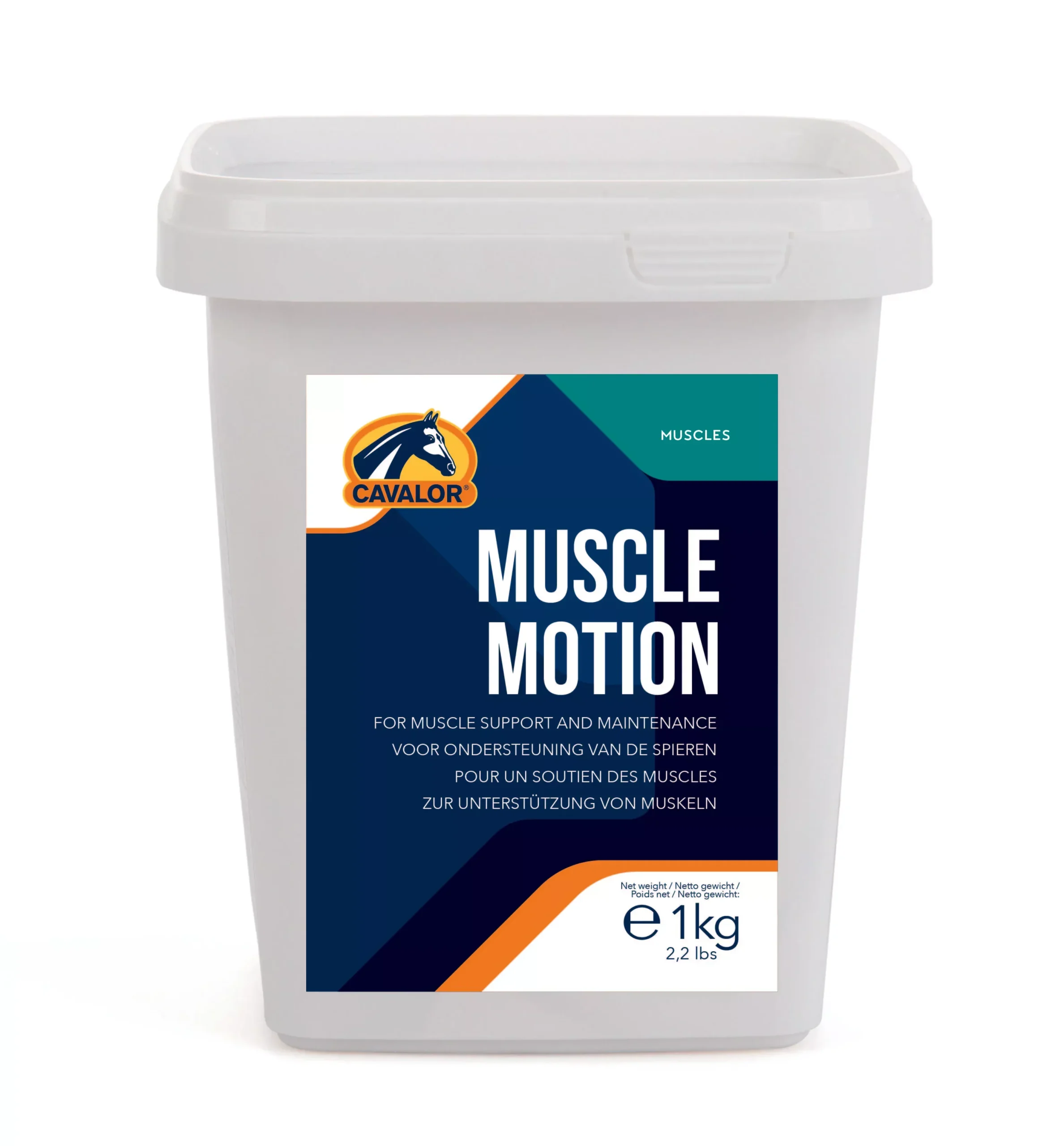 Muscle Motion