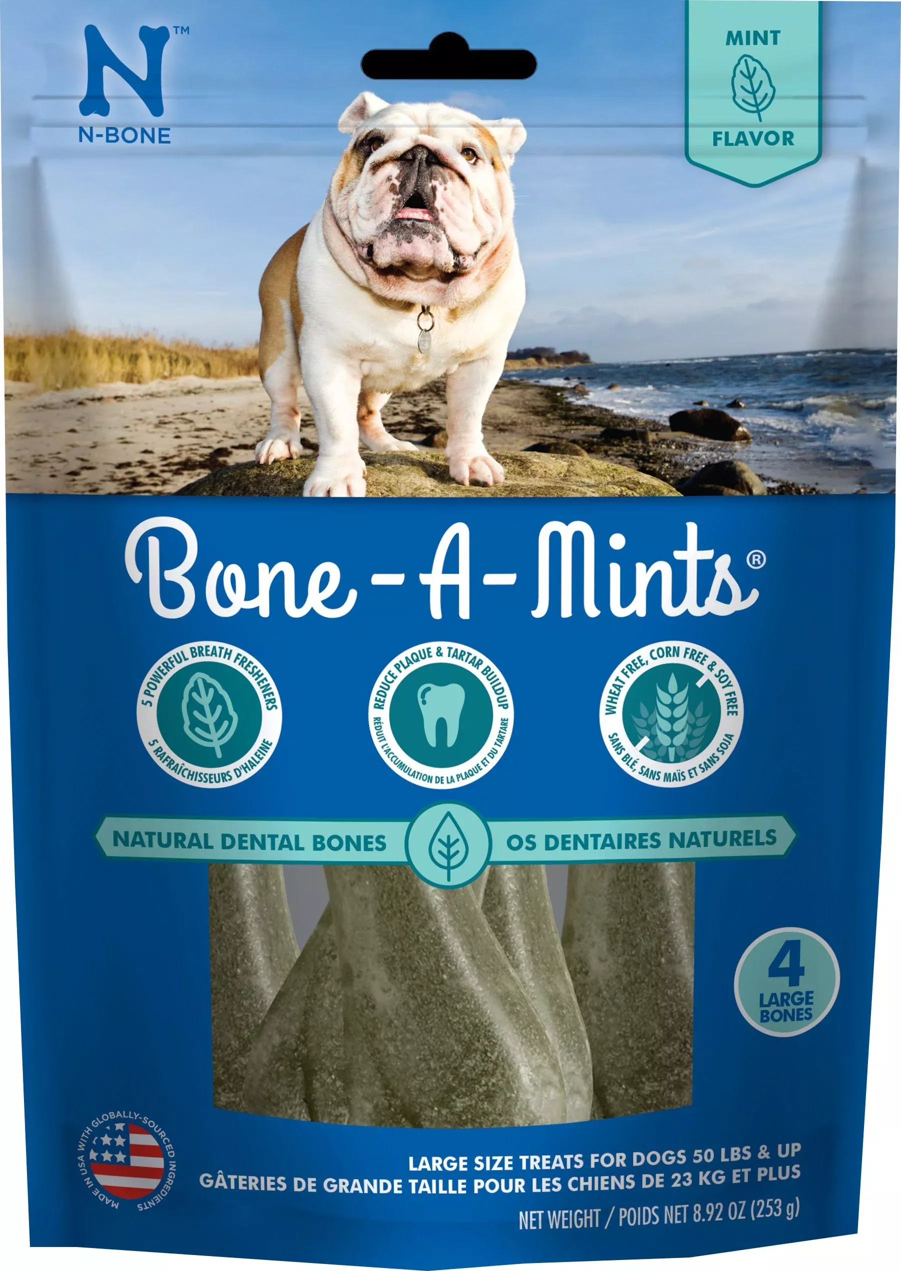 N-Bone Bone-A-Mints Mint Large 4 Ct