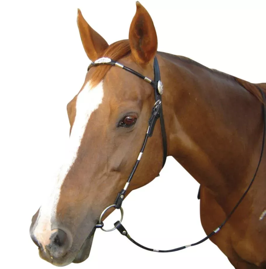 Navaho Poco Silver Ferrule Bridle
