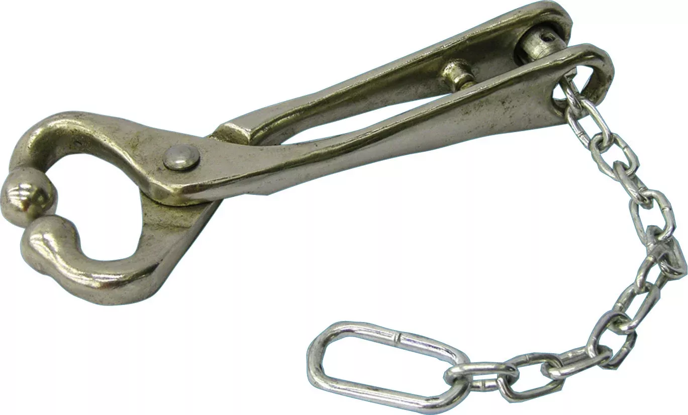 Neogen 7001 Bull Lead with Chain, 13.5"