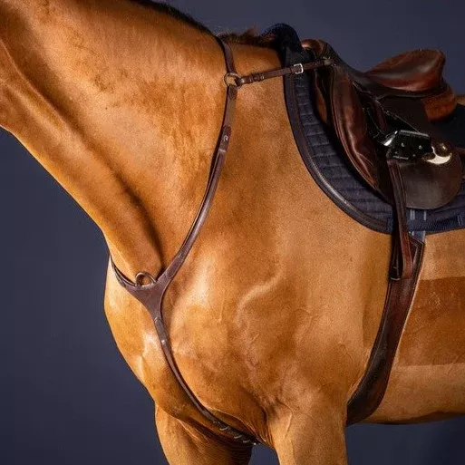 New English Breastplate with Bridge