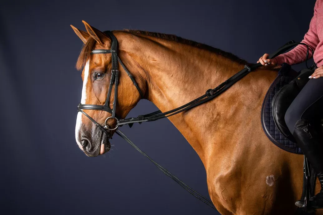 New English Leather/Nylon Draw Reins 5/8