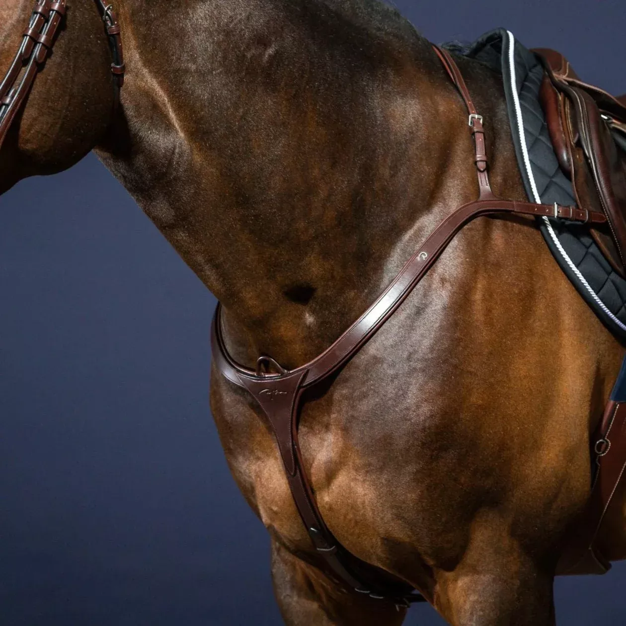 New English Long Bridge Breastplate