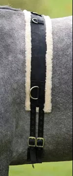 Nylon Lunging Surcingle with Fleece Padding