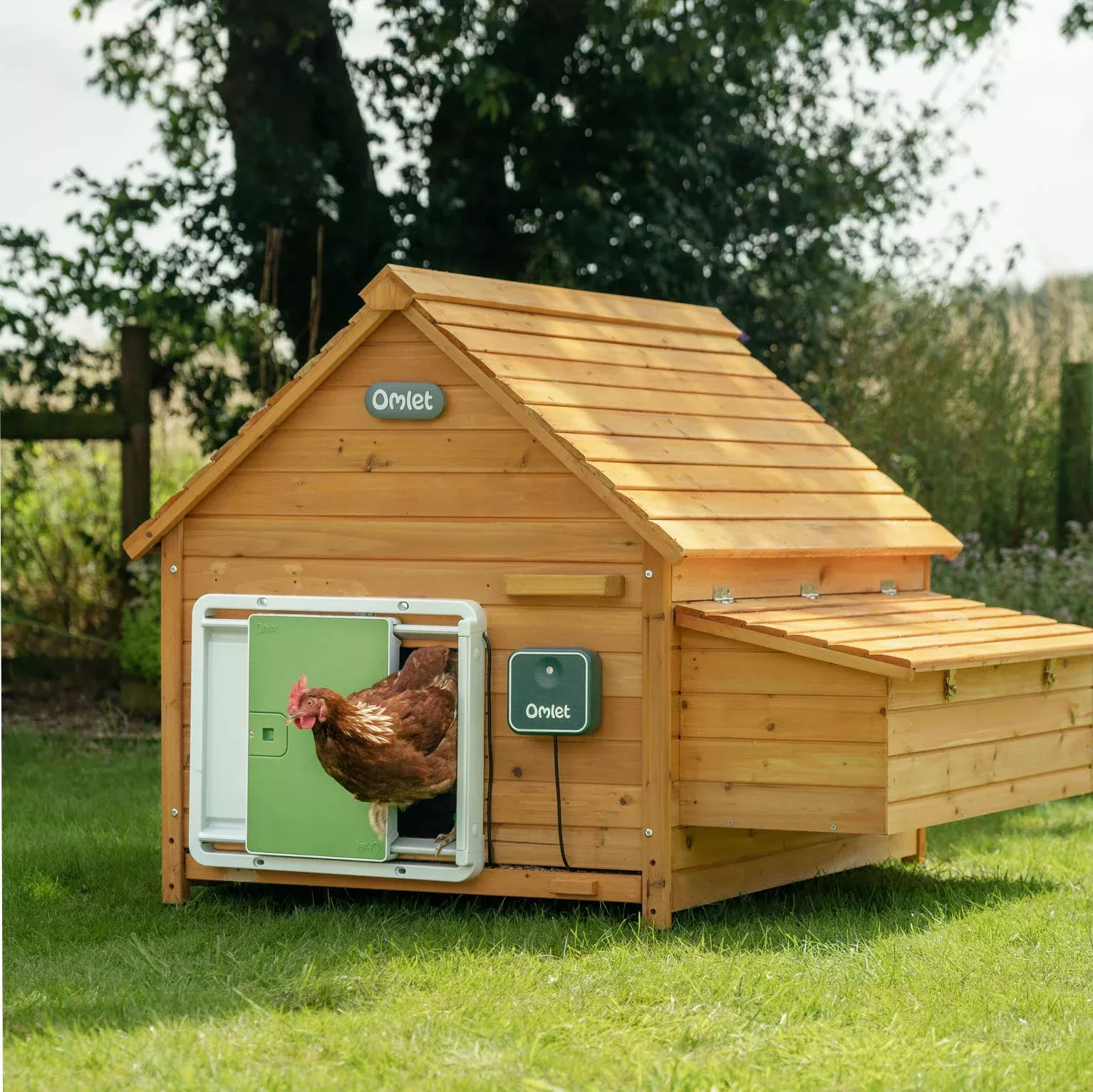 Omlet Smart Automatic Chicken Coop Door Green