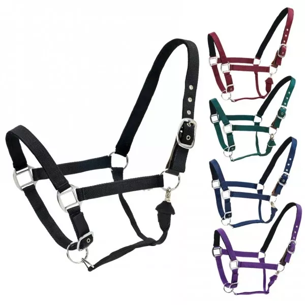 Ovation Cushion Centaur Web Breakaway Halter
