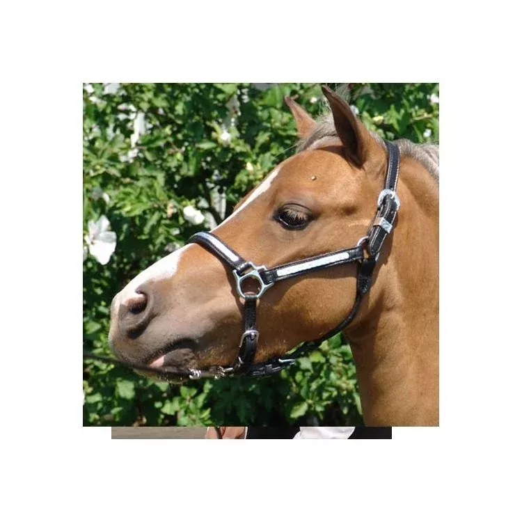 Ozark Premium Silver Perform Mini/Pony Halter