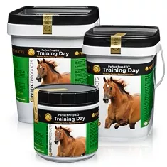 Perfect Prep EQ Training Day