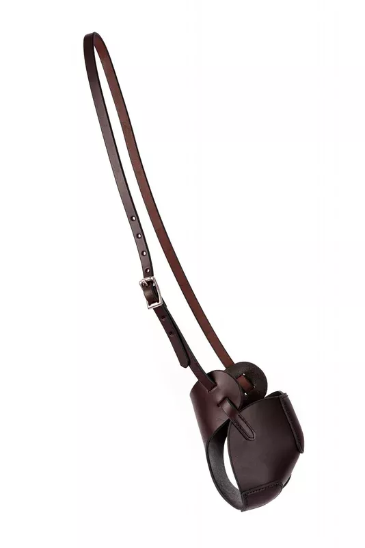 Perri's Muzzle with Headstall