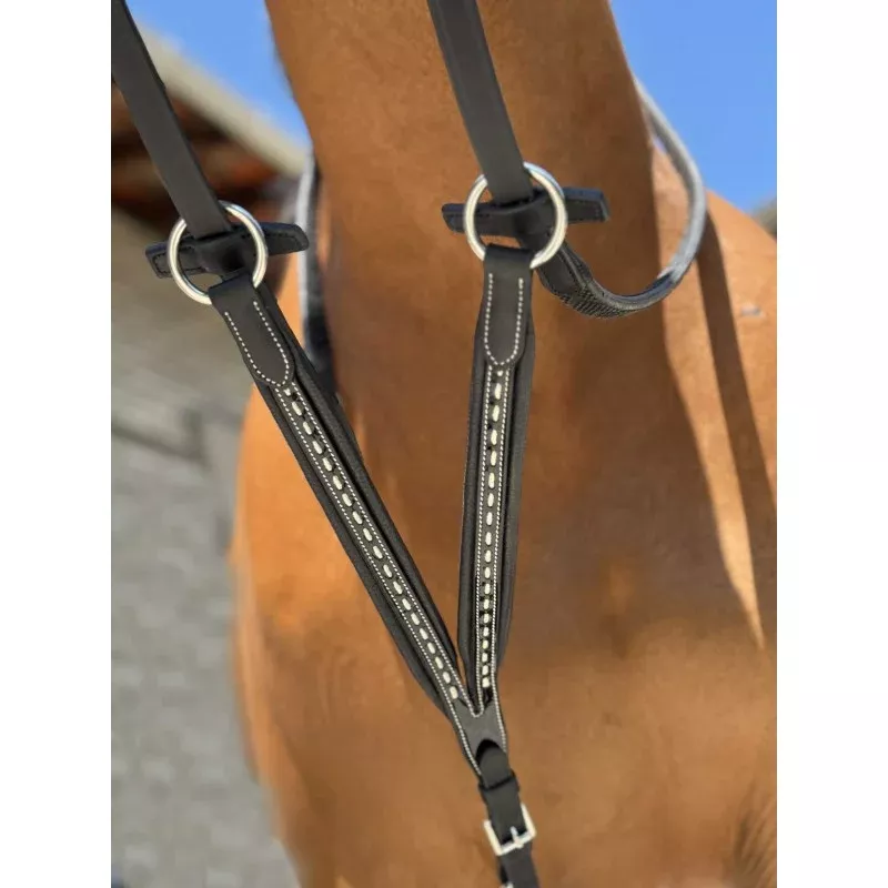 Point Sellier Martingale Fork