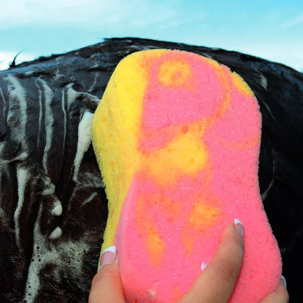 Professional's Choice Tie Dye Sponge