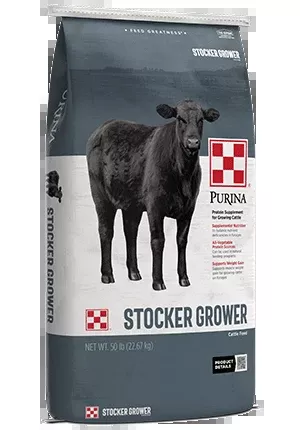 Purina 4 Square Starter/Grower 14%