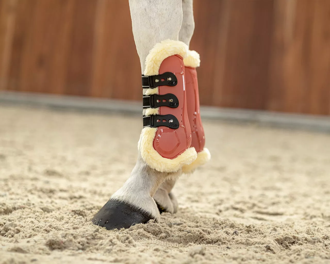 QHP Tendon Boots Ontario